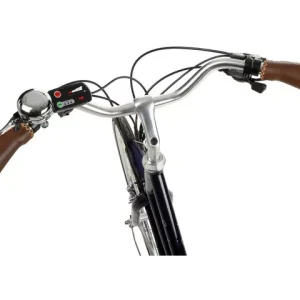 Pendleton ebike online