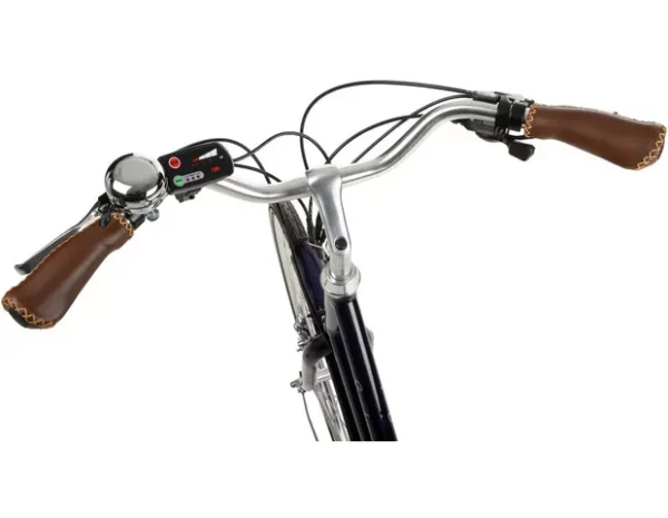 Pendleton fashion electric bike battery